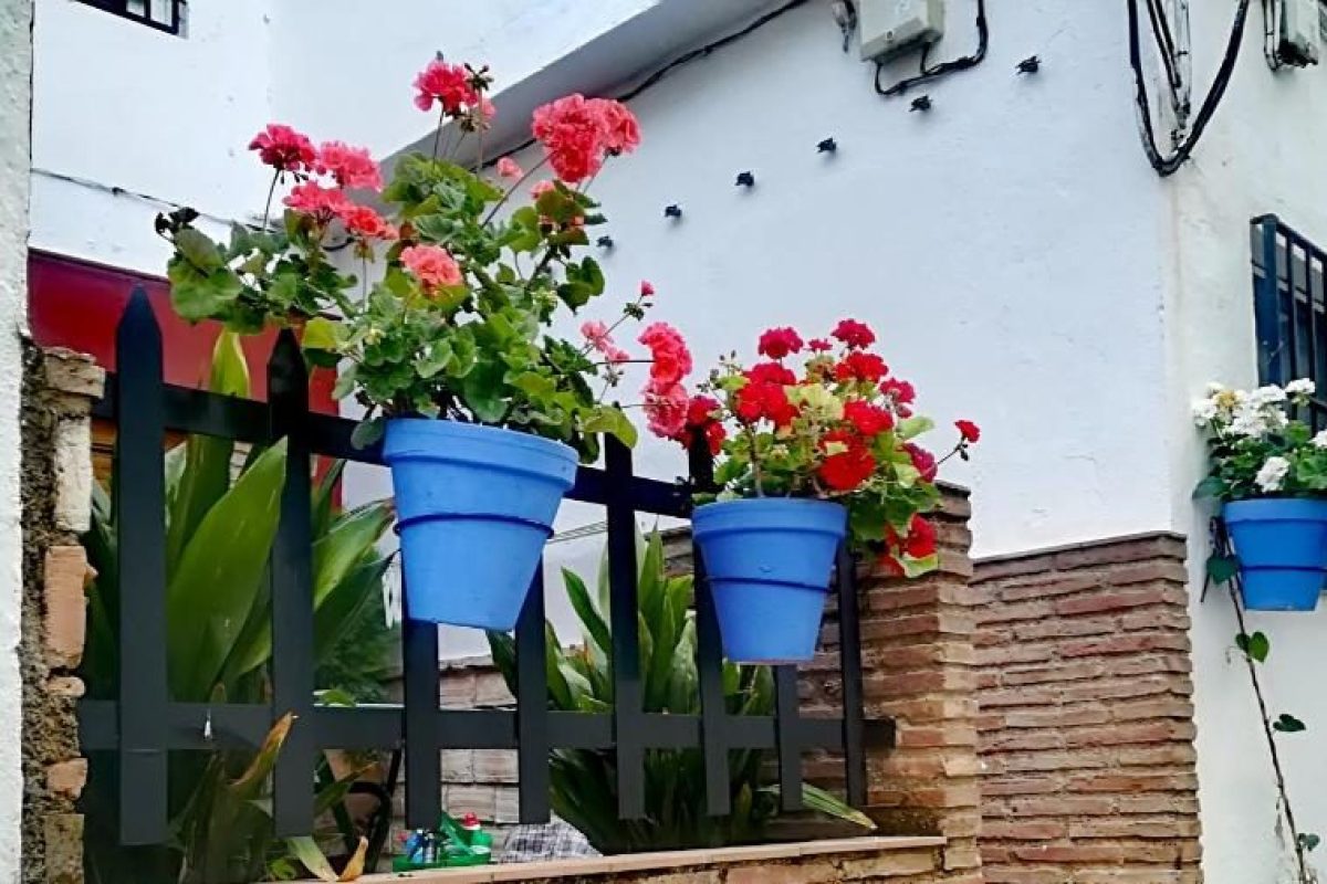 Alojamiento Los Pineros