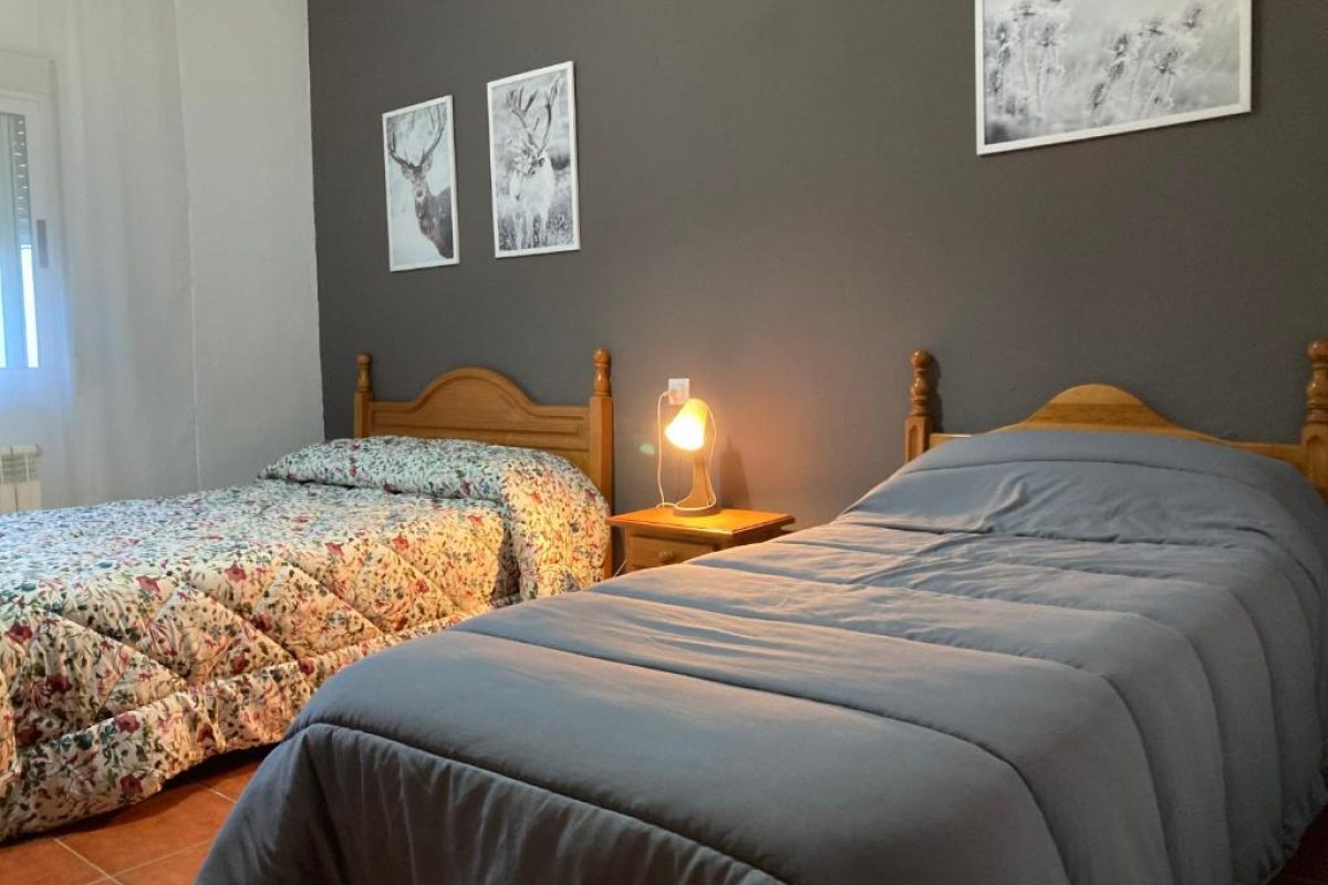Apartamentos Rosa