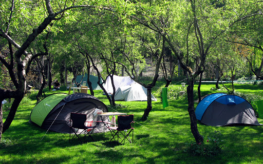 Camping Cortijo