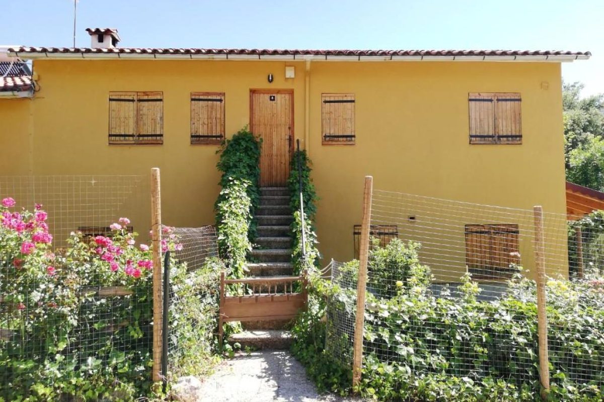 Capellania 8